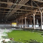 Les ruines de l'usine Soferti